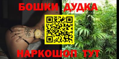 прущие грибы Пыть-Ях