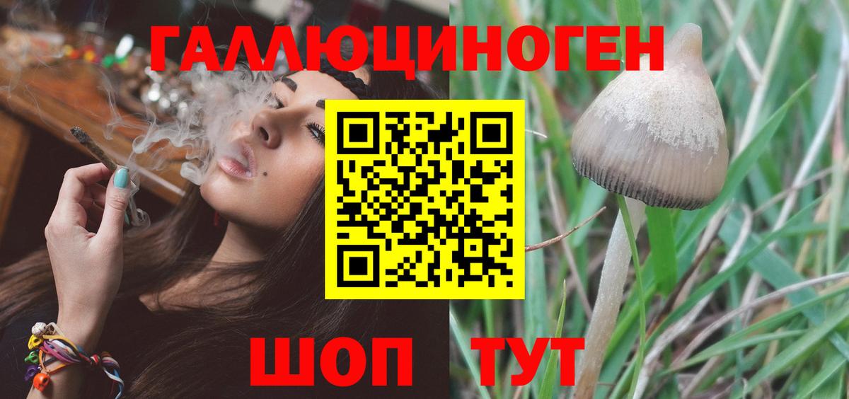 Галлюциногенные грибы мицелий Новосибирск