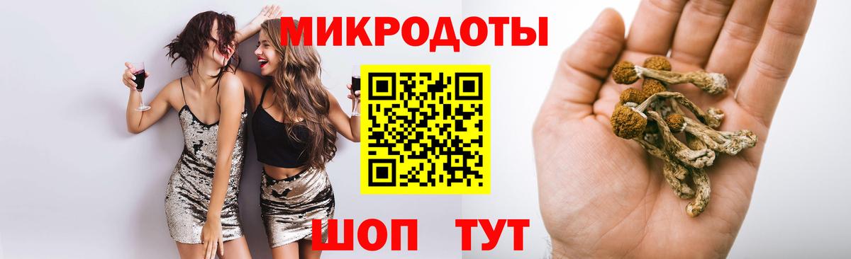 Новосибирск  Галлюциногенные грибы мухоморы  Вход с VPN 